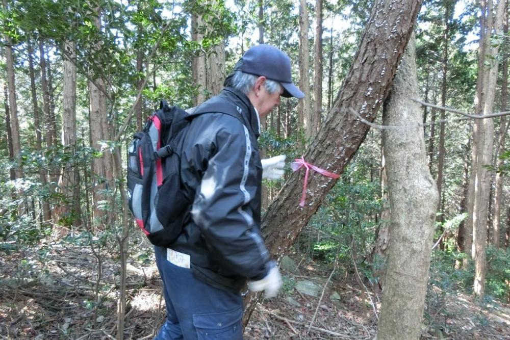 これで調査時の作業は終了