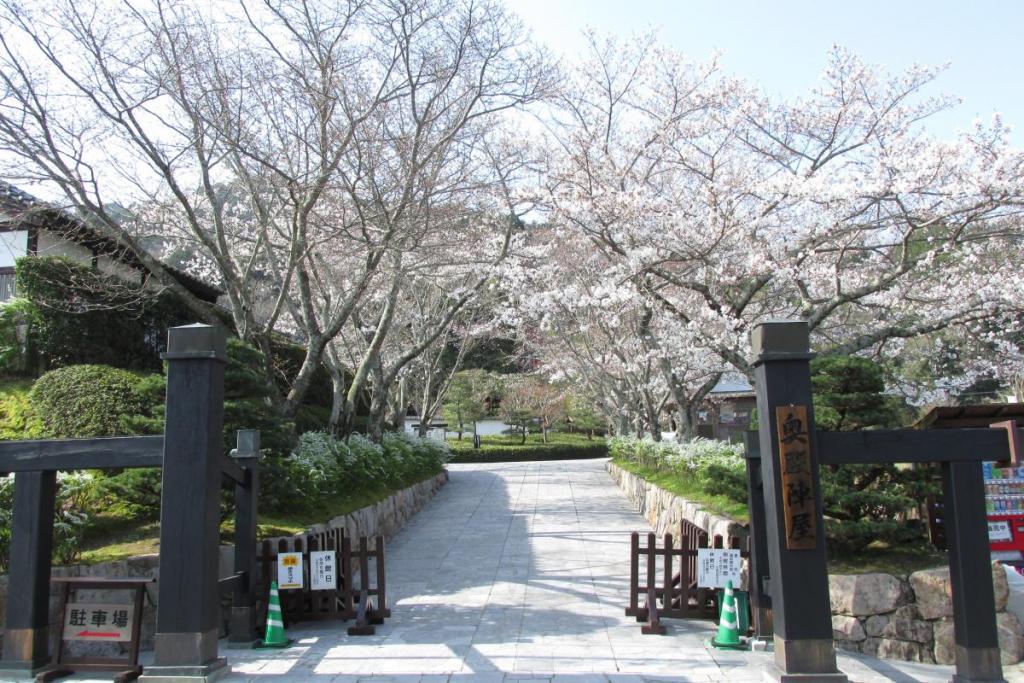奥殿陣屋正面門からの桜です。