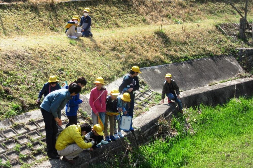 5つの区間に区切って鳥川の様子を観察します