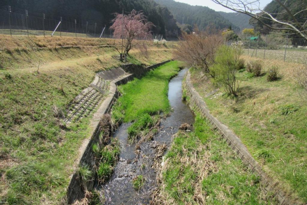 先週幼虫放流式をした場所。ホタルにとってはどう見える？