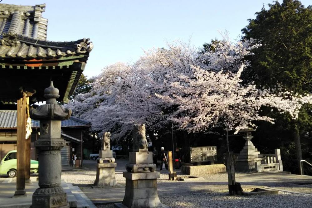 八柱神社（境内）