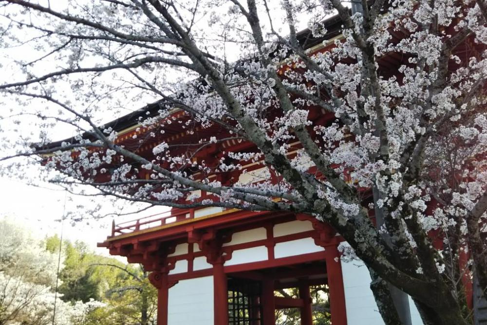 滝山寺（三門）