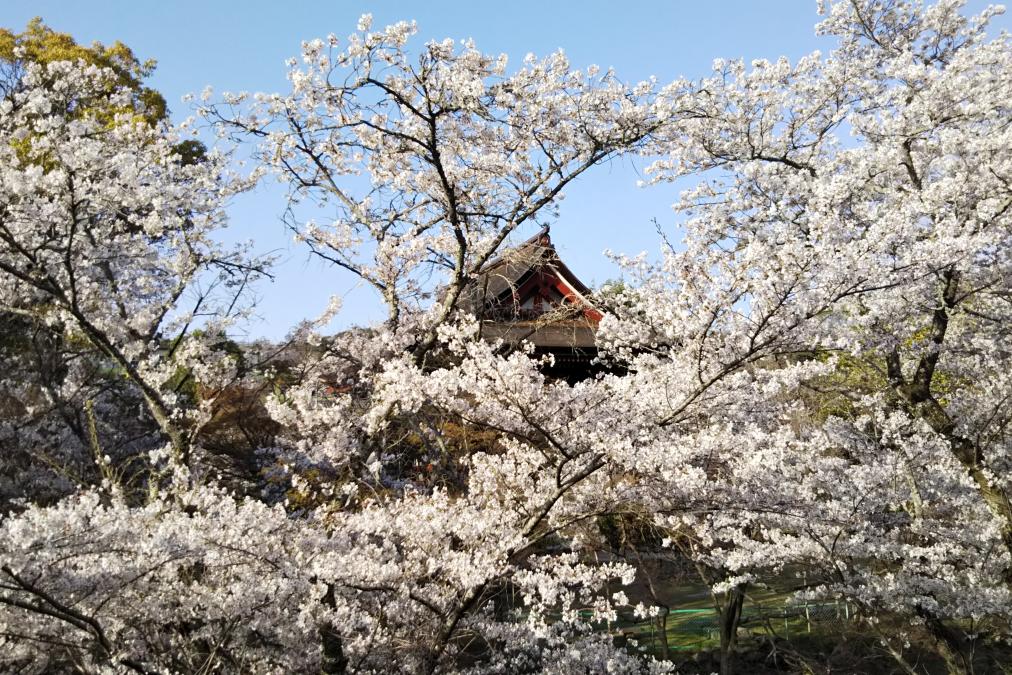 滝山寺（三門）