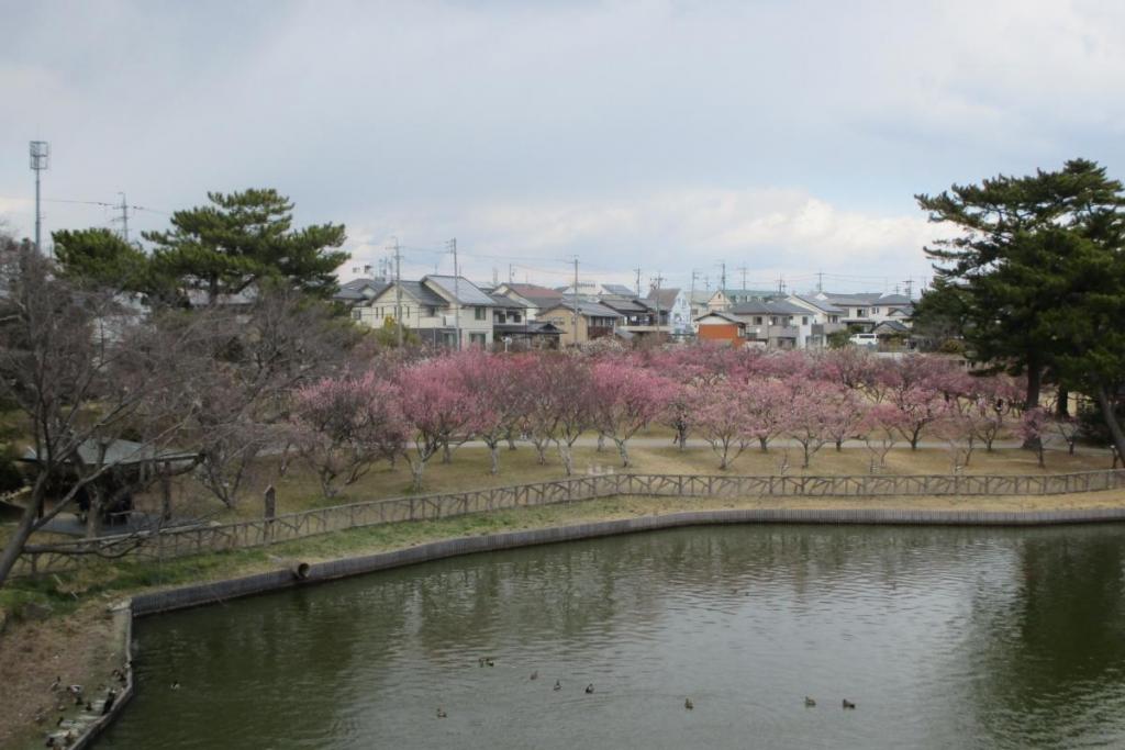 梅林全景1
