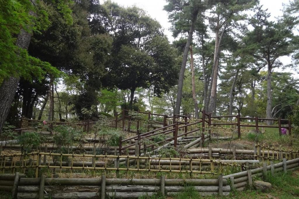ぼたん園ははとが池に向いた斜面にあります。