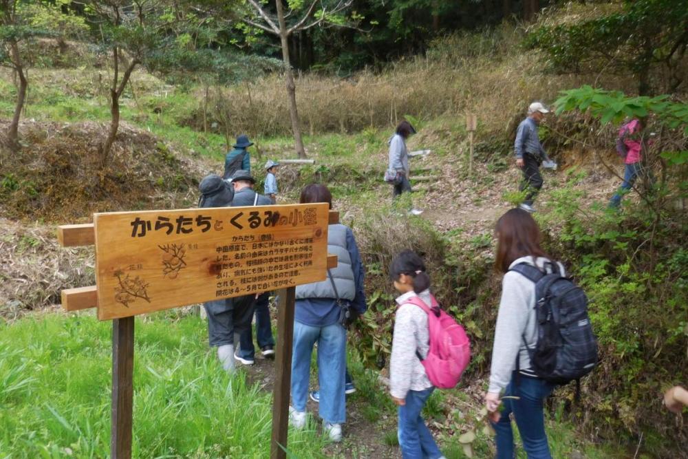 植物探しに出発！