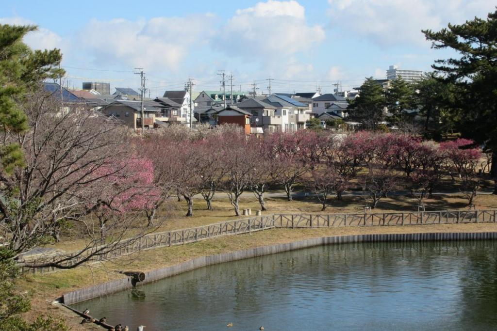 梅林全景