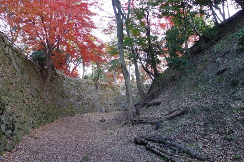 曲線美が魅力の清海掘石垣