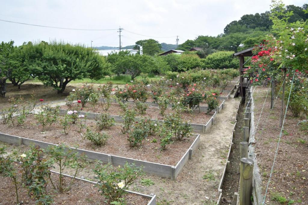 全体としてはこんな感じ。