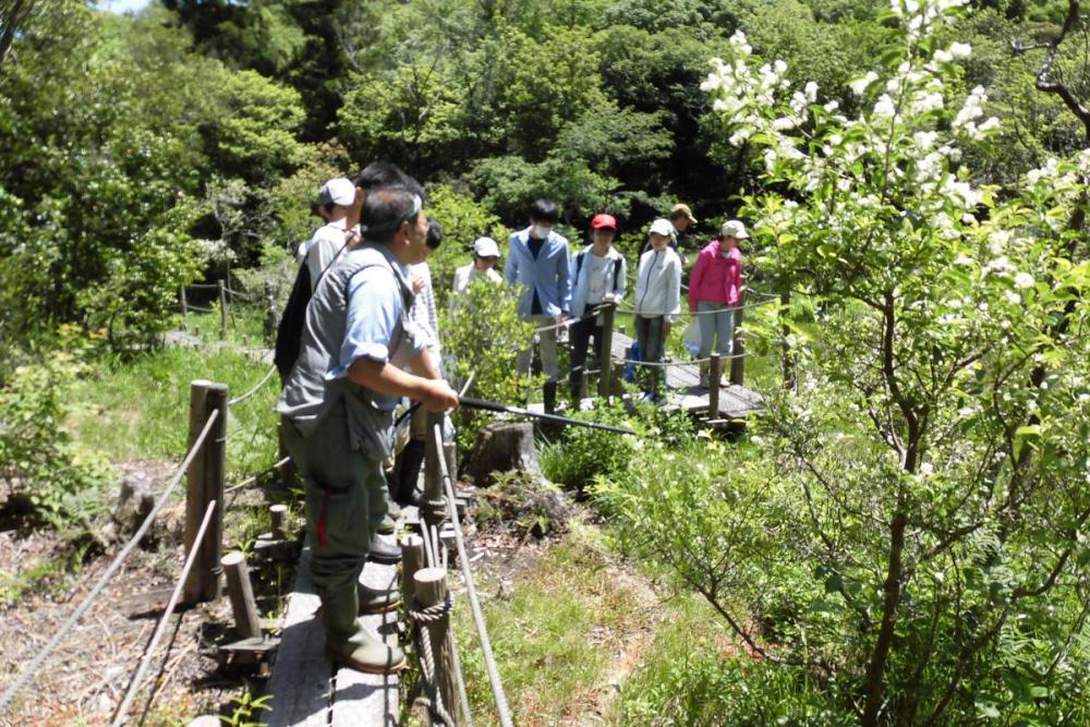 作業が終わったら観察会