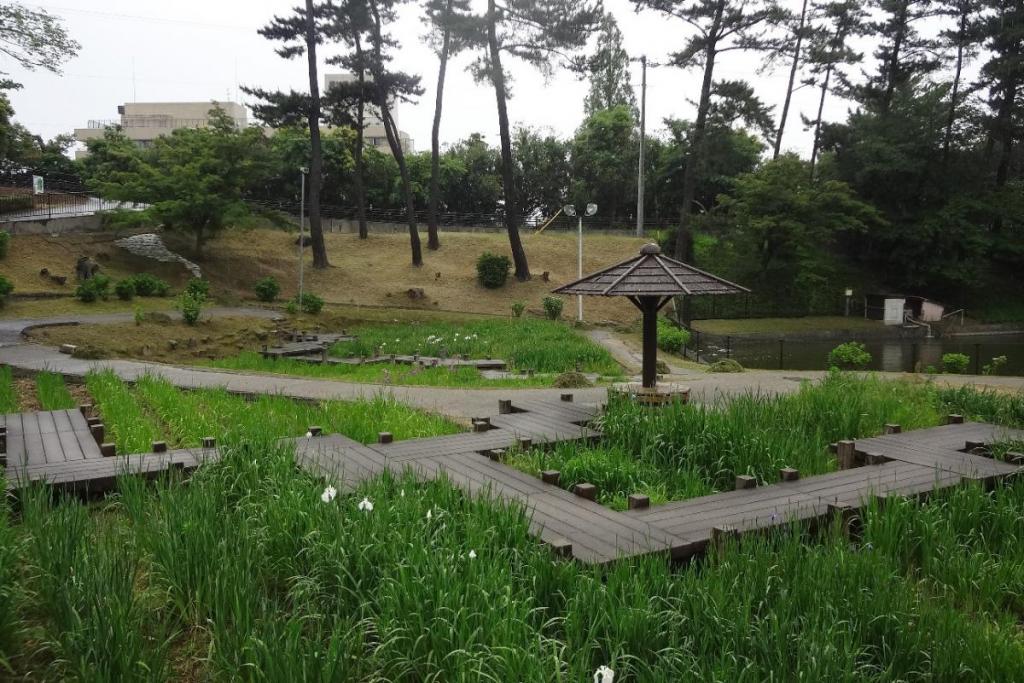 さっぱりしたところに本日恵みの雨。