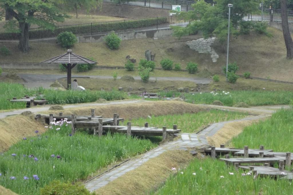 雨降りもいいもんです。