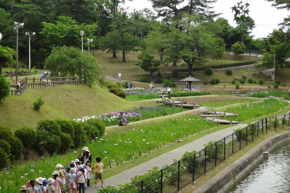 遠目で花色かと思ったら子どもたちでした。