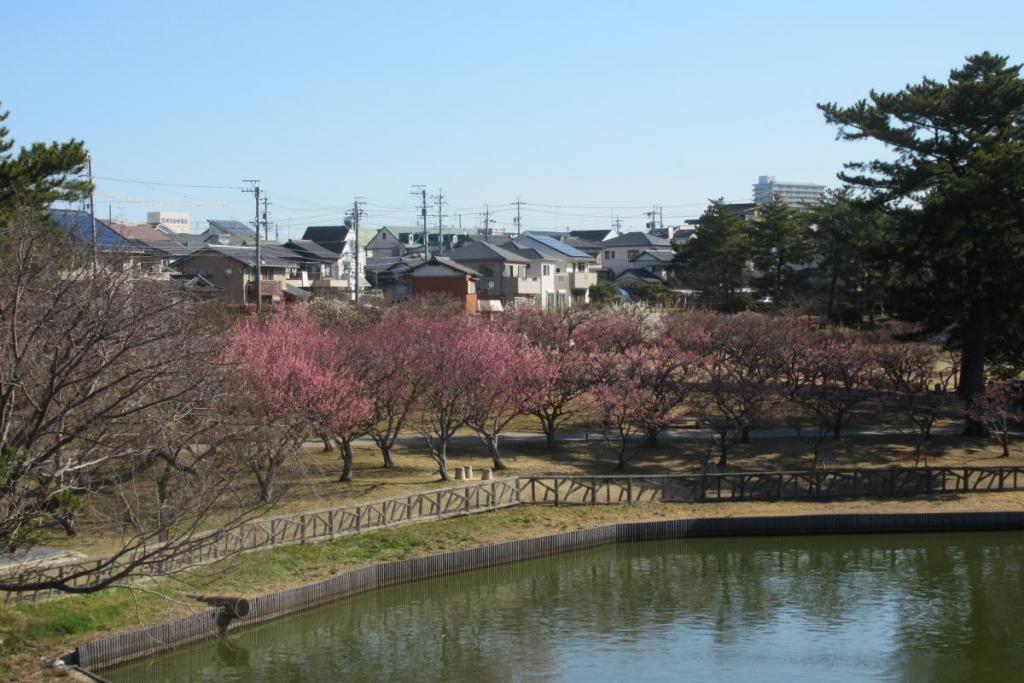 全景1