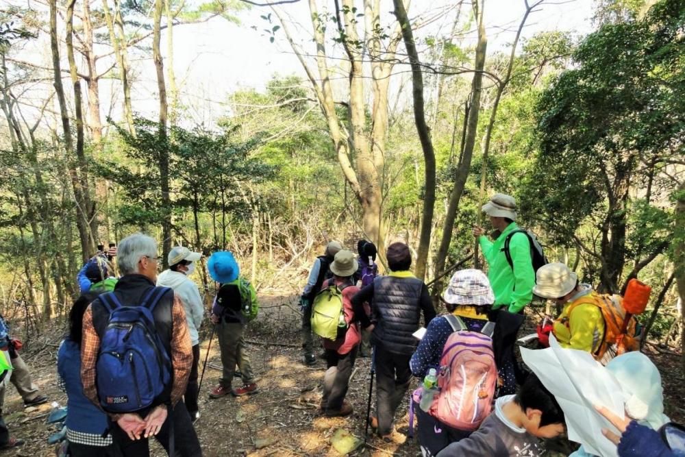 樹齢100年超えの「喜桜」は一見の価値あり