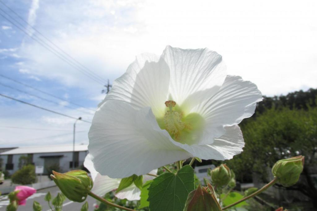 今回のお気に入りです♪