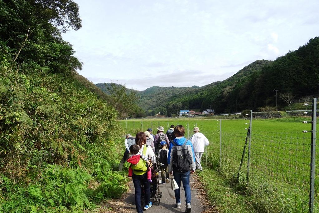 里山の自然を体感するには丁度良い天気