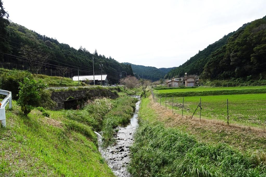 自然いっぱいの鳥川の風景