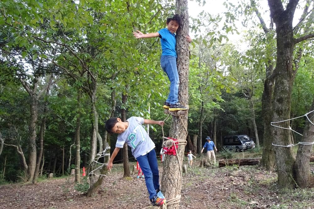 木登り達人塾 森の巨大ブランコ 木登りあそび を開催しました 新着情報 こども自然遊びの森 わんpark 水とみどりの森の駅 岡崎おでかけナビ 岡崎市観光協会公式サイト