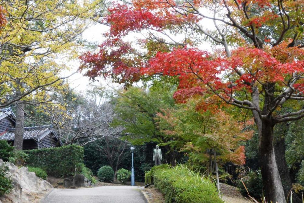 本多光太郎資料館の坂道です。