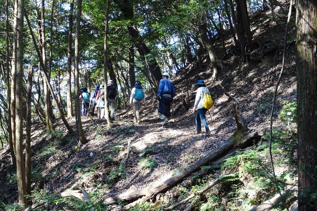 額堂山山頂まであと少し！