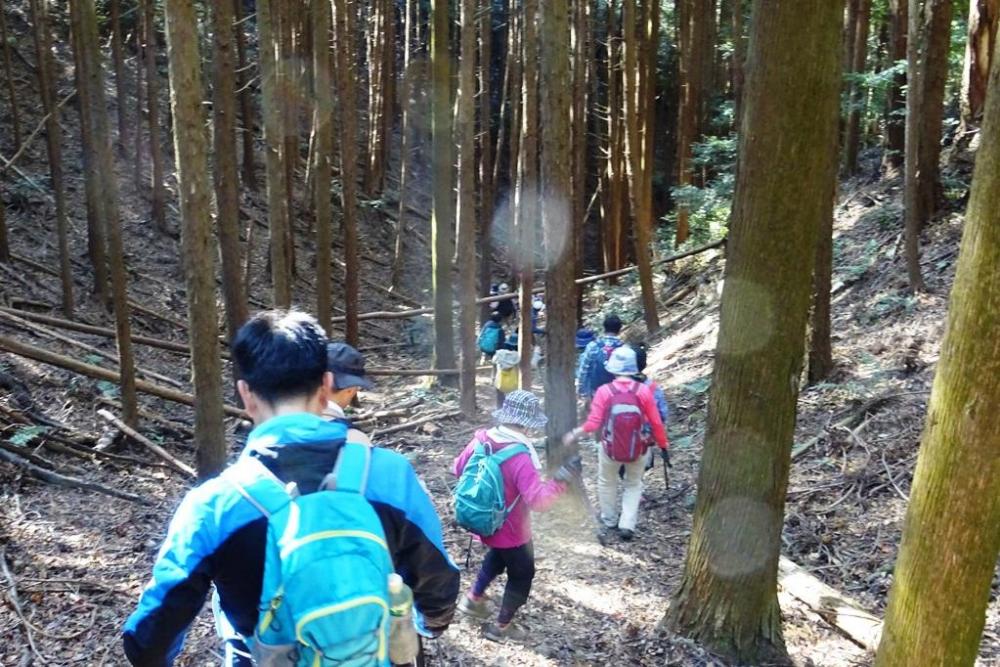 ホタル学校まであと少し。ゴール間近！