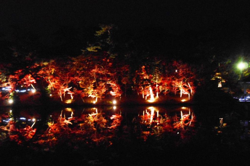 風のない夜だと水面に影がきれいに映りますね。