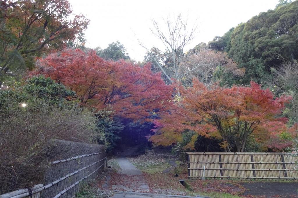 歴代藩主の廟所がこの奥にあります。