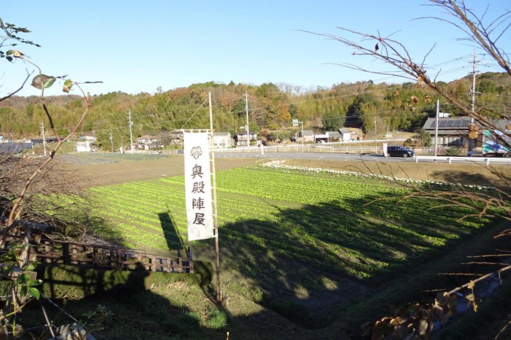 朝は、とても空気が澄んでいます。散歩するのも良いと思います。