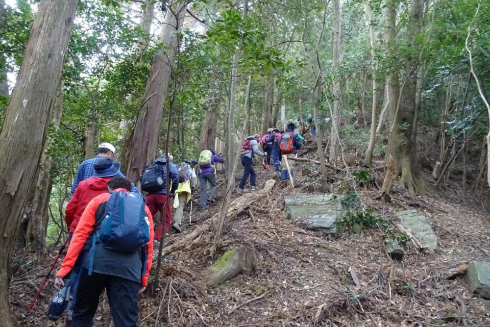 京ヶ峯への急坂を登る