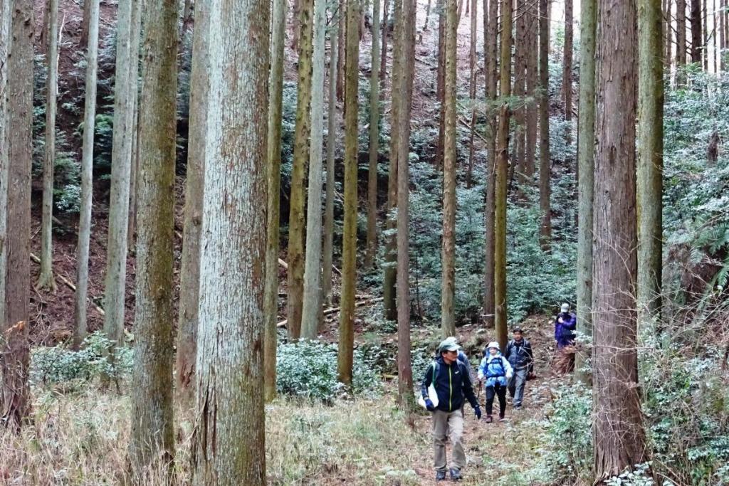 全ての看板を設置し終え、身軽になって下山