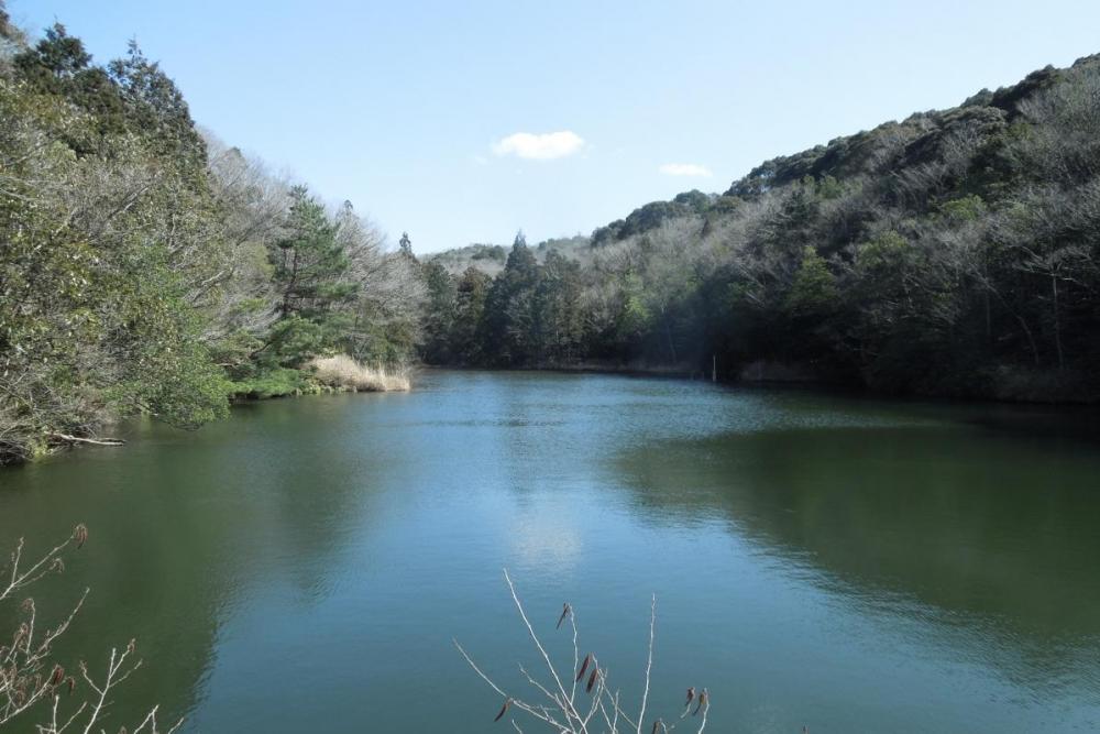 春風が吹き抜ける「やなが沢池」