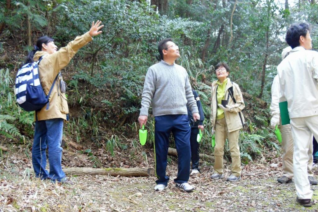 今度は森の上のほうを見てみよう