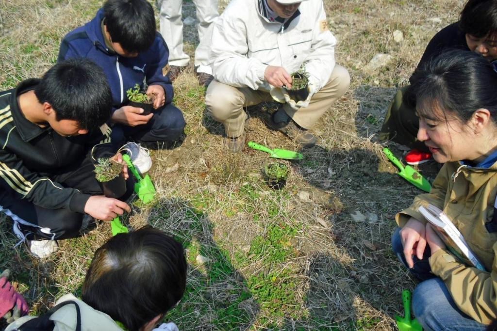 どんな花が咲くと思いますか？