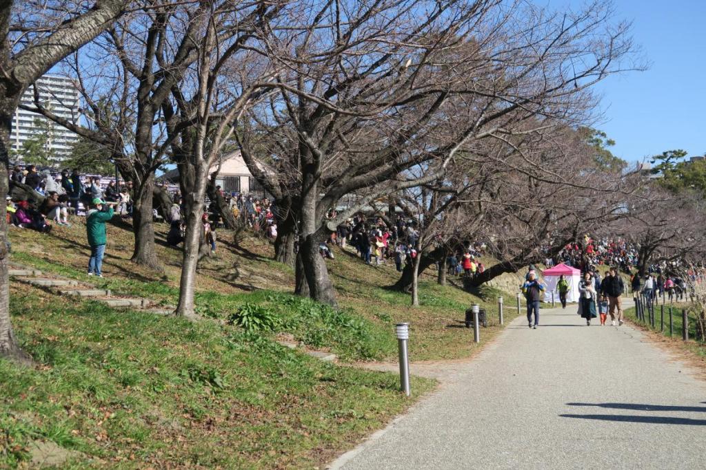 とても暖かい日で大勢の観覧のみなさんが！