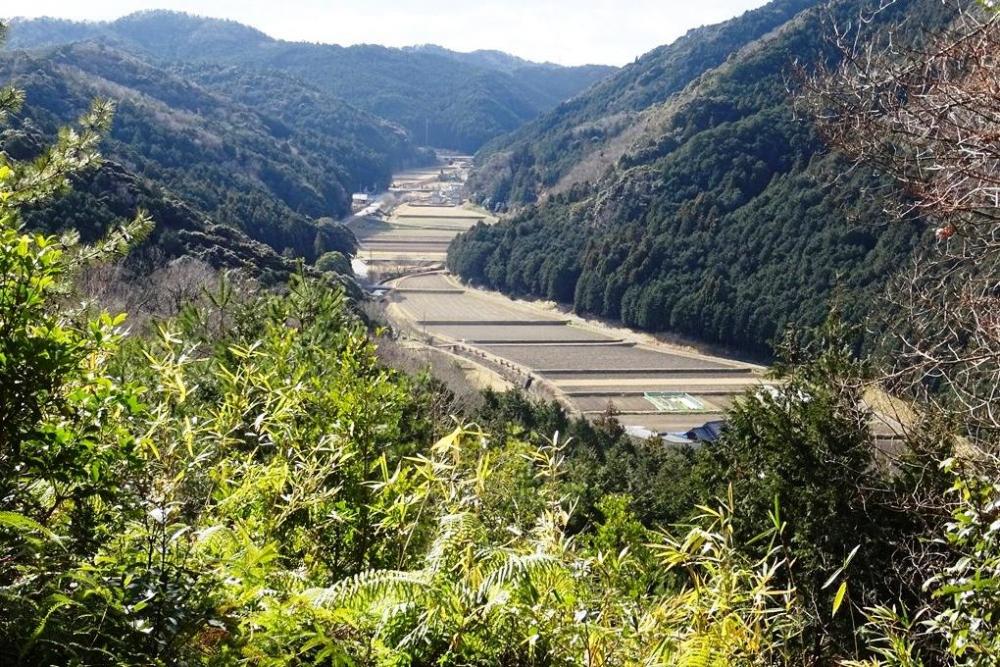 鳥川の風景②