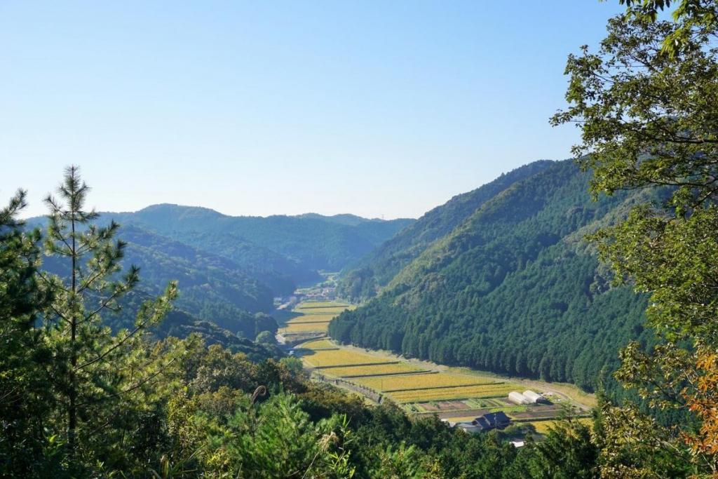 豊かな湧水で潤う「鳥川ホタルの里」