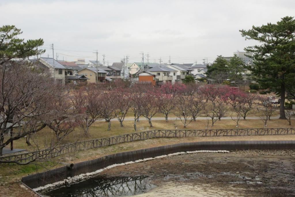 全景1