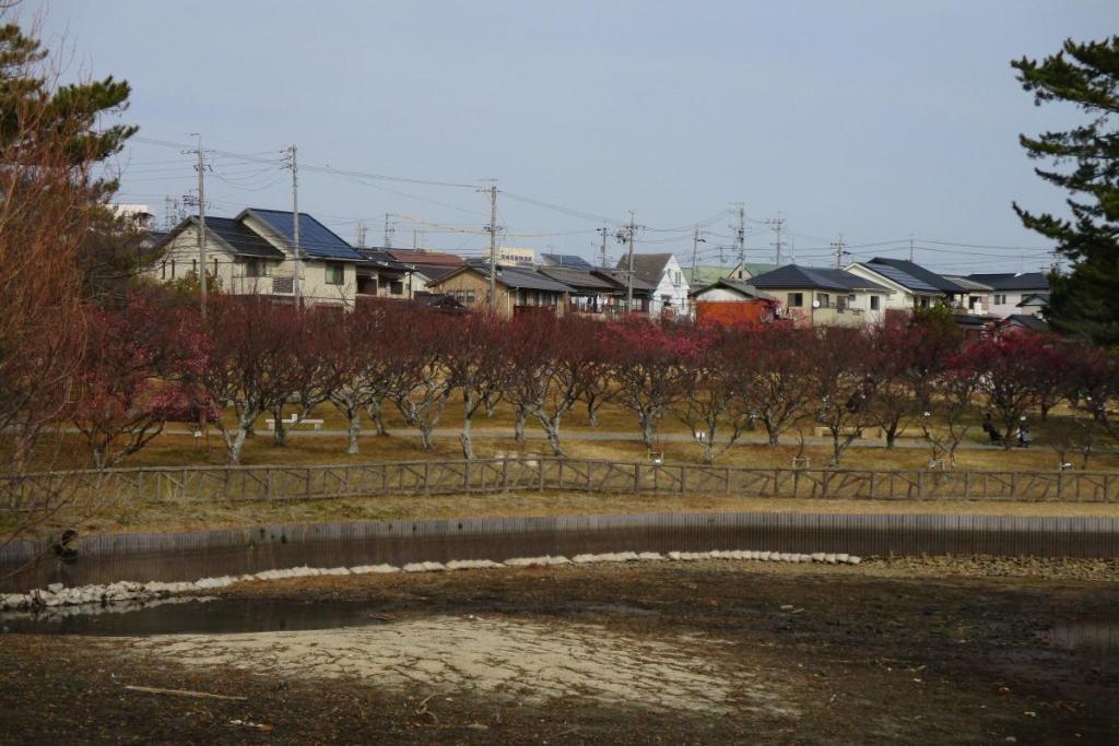 全景1