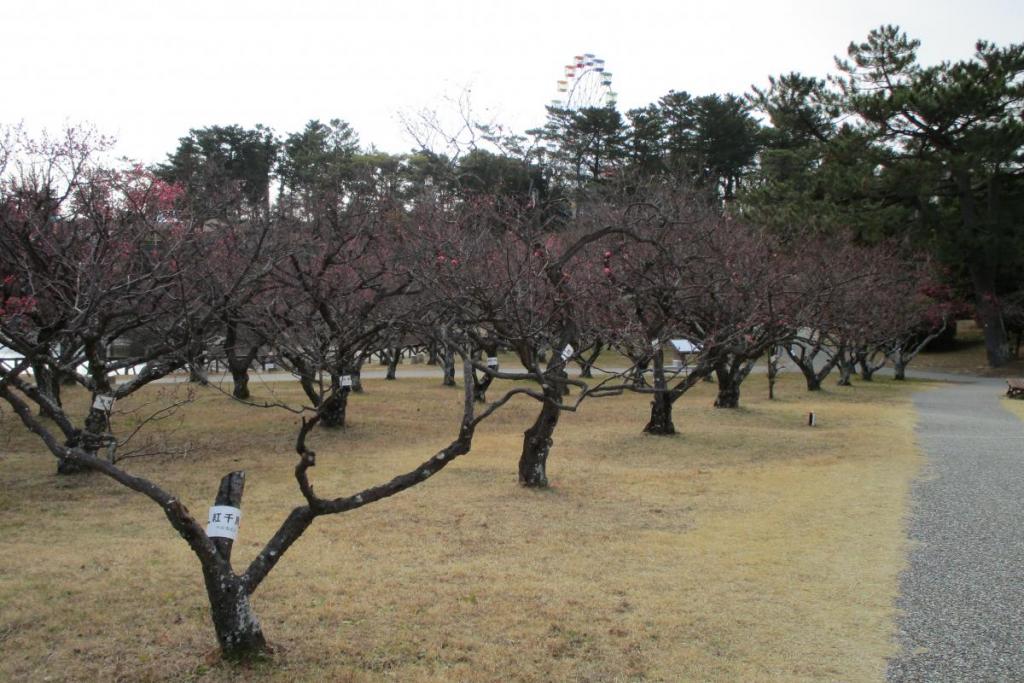 全景2