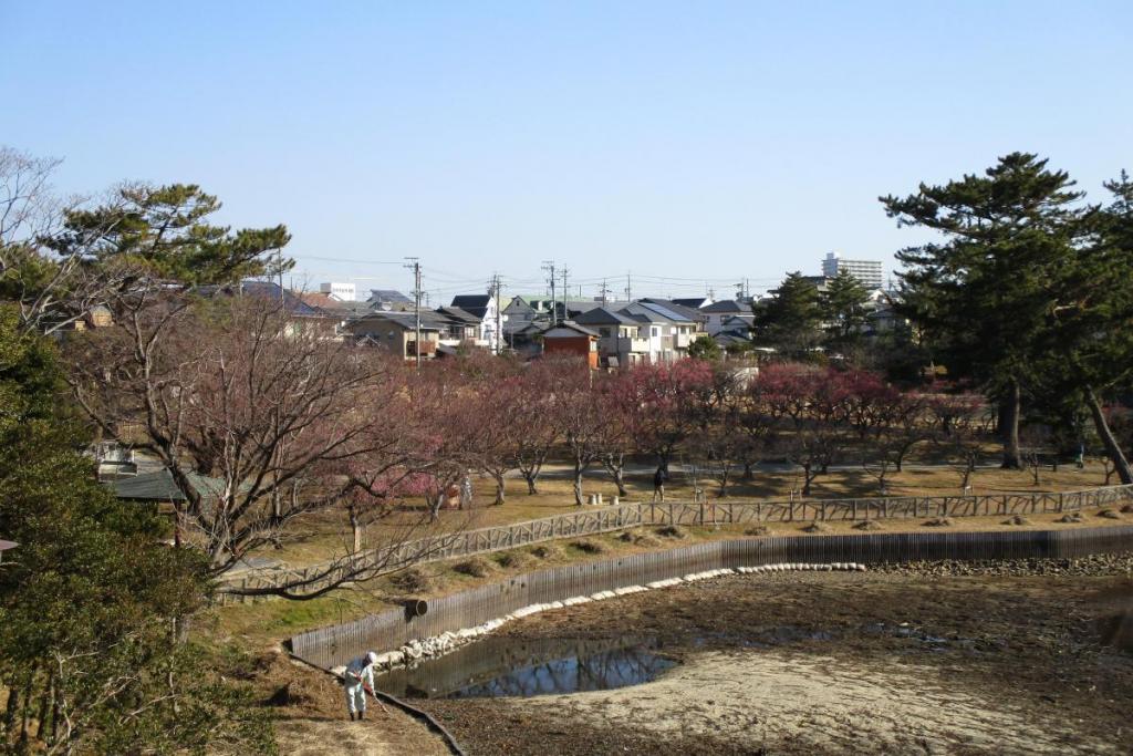 全景1