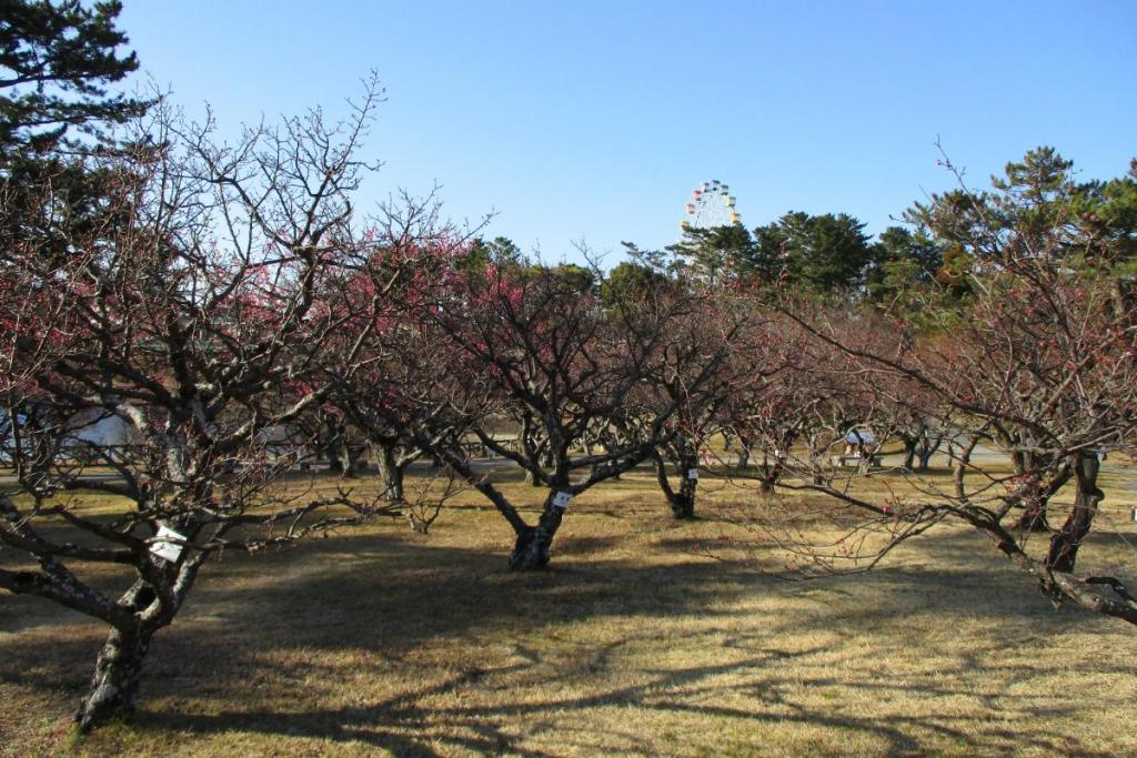 全景2