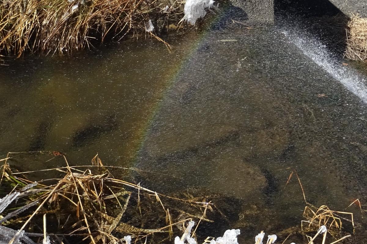 虹（風と水のモニュメント）出現！｜新着情報｜鳥川ホタルの里｜水とみどりの森の駅｜岡崎おでかけナビ 岡崎市観光協会