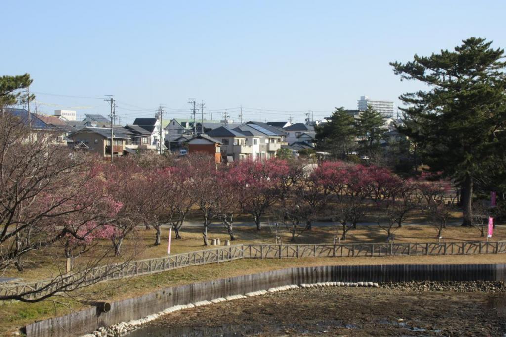 全景1