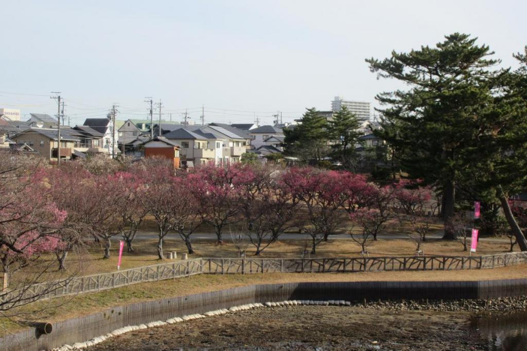 全景1
