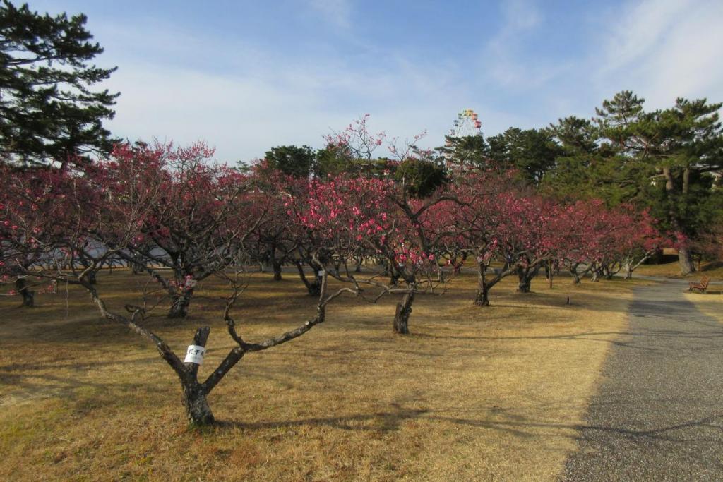 全景2