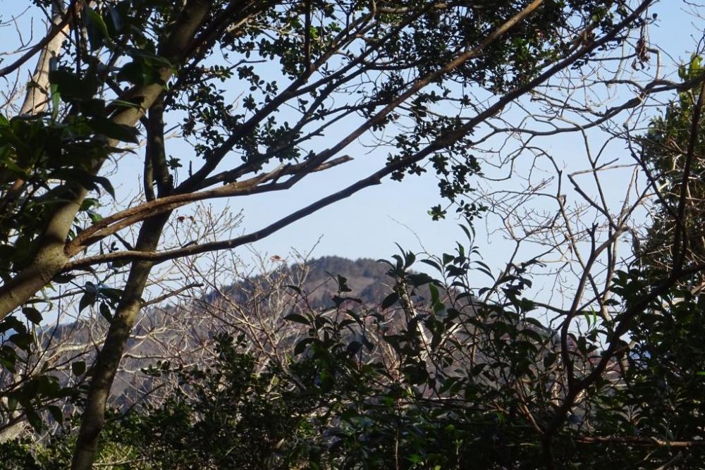 隙間から山の風景も見れます