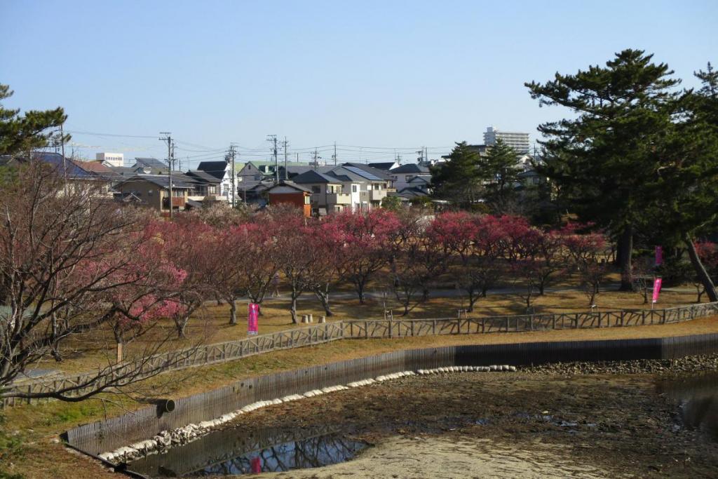 全景1