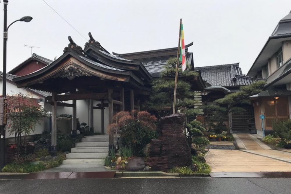 住宅街からパッと現れた善入寺