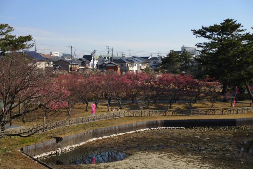 全景1